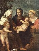 Andrea del Sarto Madonna and Child with Sts Catherine, Elisabeth and John the Baptist china oil painting reproduction